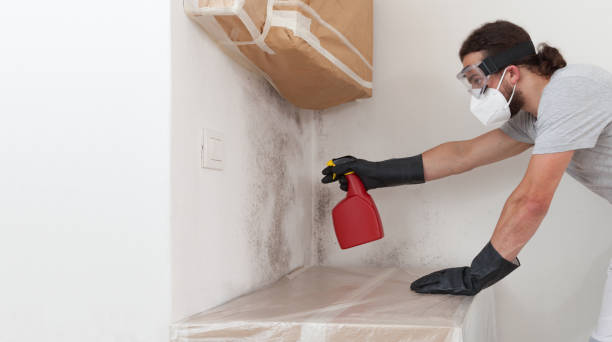Professional Mold Removal technician working in Wyandanch, NY